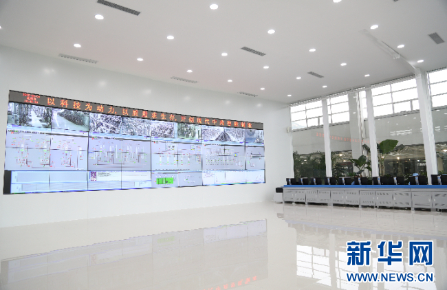 强信心·走进百企丨铂莱国际药业：“数智化”助力中医药开启发展新篇章